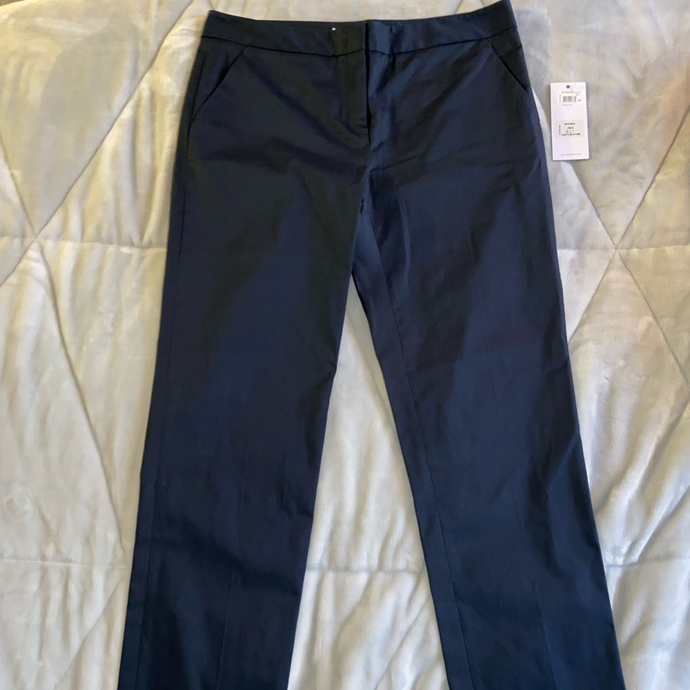 BRAND NEW Gerard darel dress pants